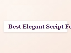 Elegant Script Fonts for Baby Shower Invitations